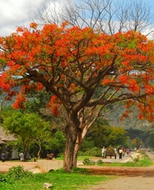 All rooms are sanitized for a clean and safe experience